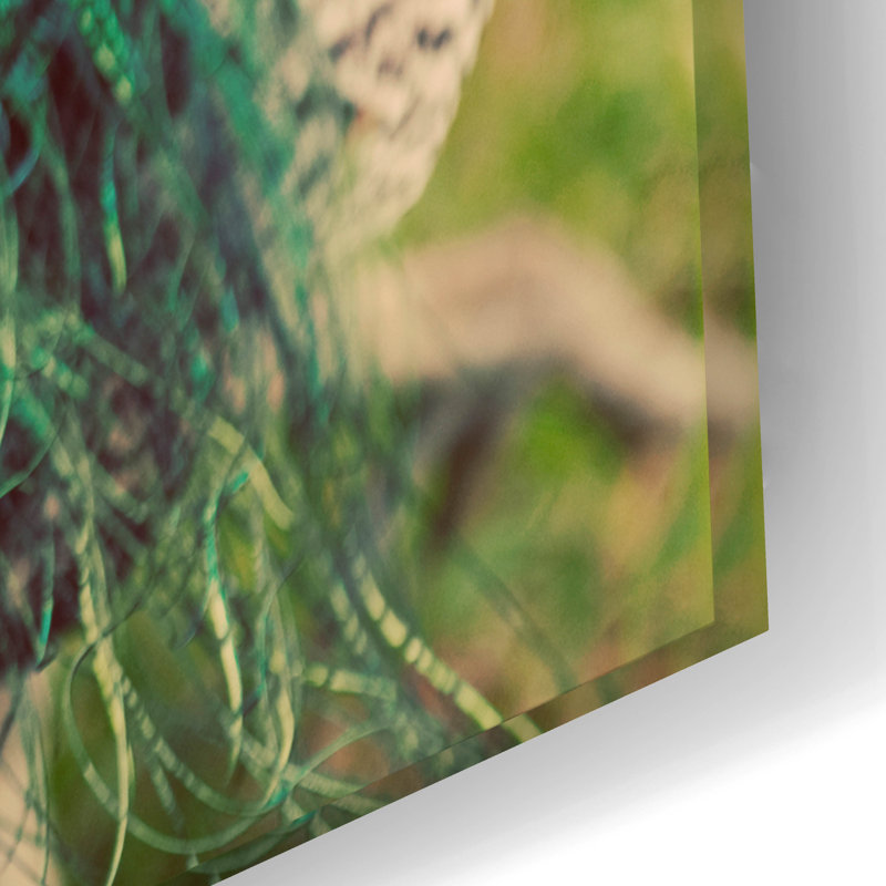«Peacock Feather Tail 01» par Tom Quartermaine, art mural en verre acrylique, H 16 po x l 24 po x P 0,2 po