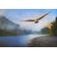 Chris Vest - Wrapped Canvas Print-20254074