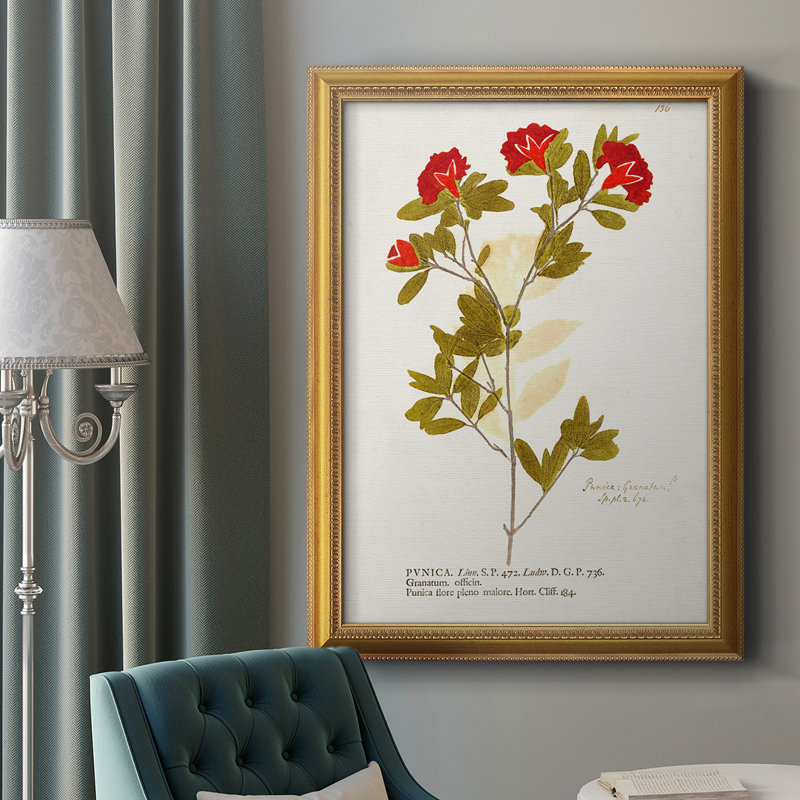 Toile encadrée de qualité supérieure Botanicals, H 20 po x l 16 po x P 2,5 po