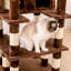 Grand arbre à chat 75 "Amariani-1785950817