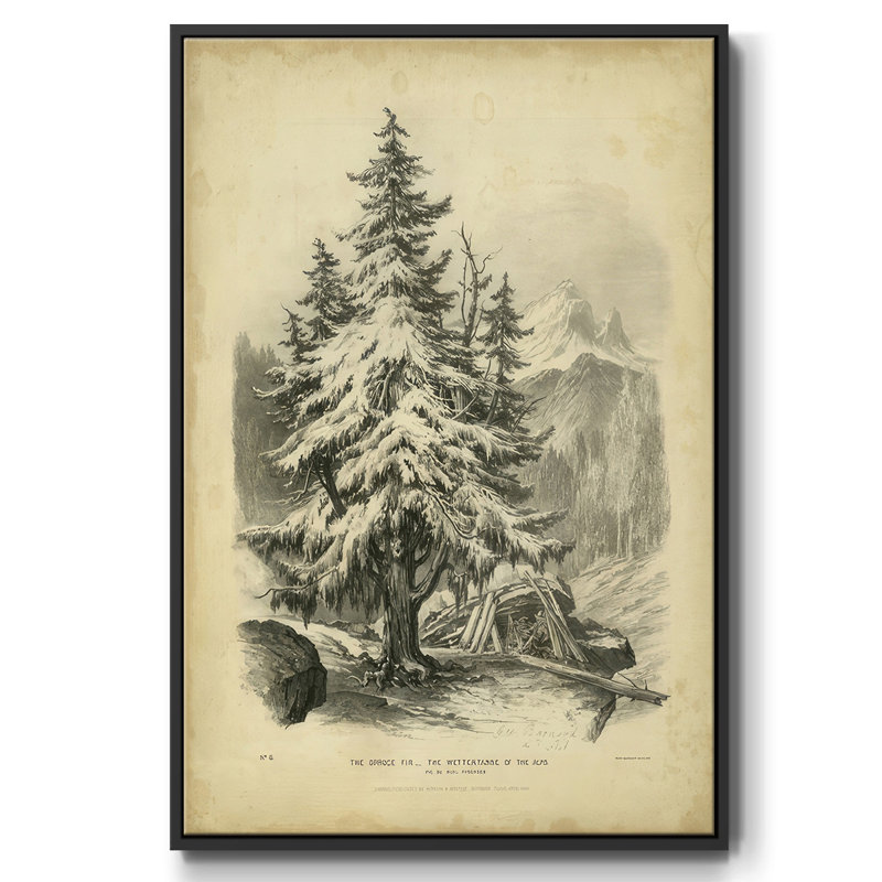 The Spruce, reproduction d'art sur toile, Cadre flottant noir, H 25 po x l 17 po x P 1,5 po