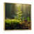 Toile avec cadre flottant or