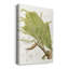 Palm Palm III - impression sur toile tendue-833925158