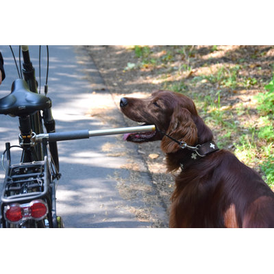 Cousins Dog Bicycle Leash