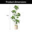 Plantes artificielles réalistes pour la décoration intérieure
