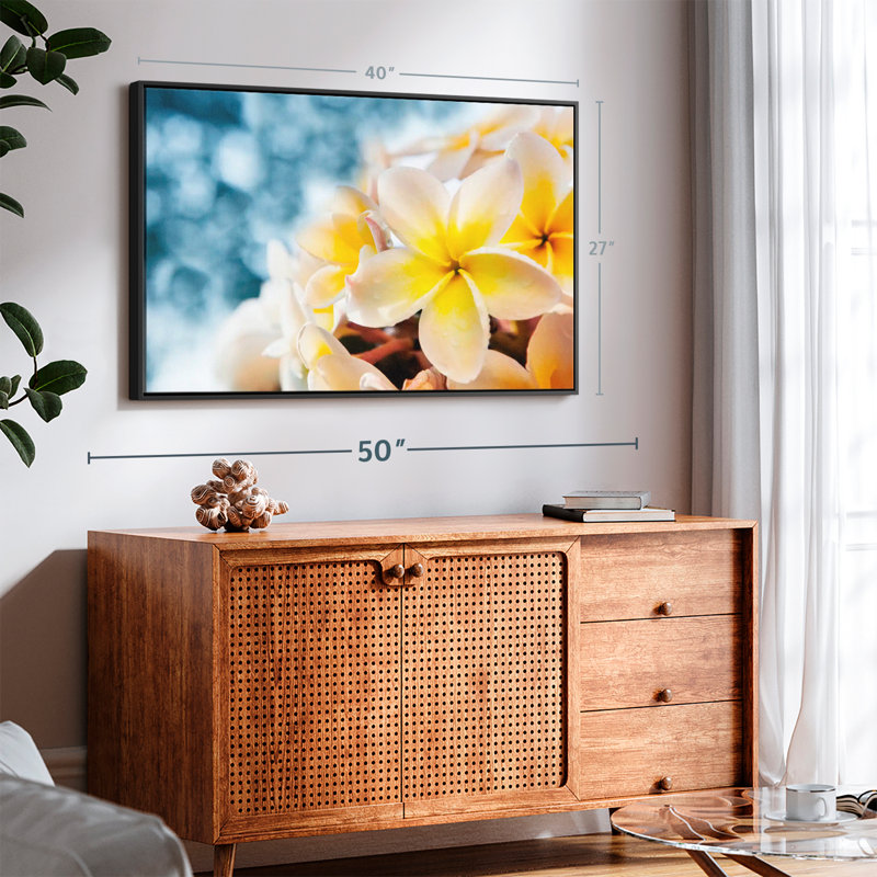 Frangipani Canvas Print, 27" H x 40" W