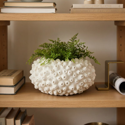 Bol corail Reef Bloom
