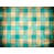 Green/Beige Gingham