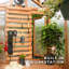 Ensemble de serre d'extérieur en bois de cèdre et polycarbonate 9 pi x 6 pi avec pergola Backyard Discovery Bellerose