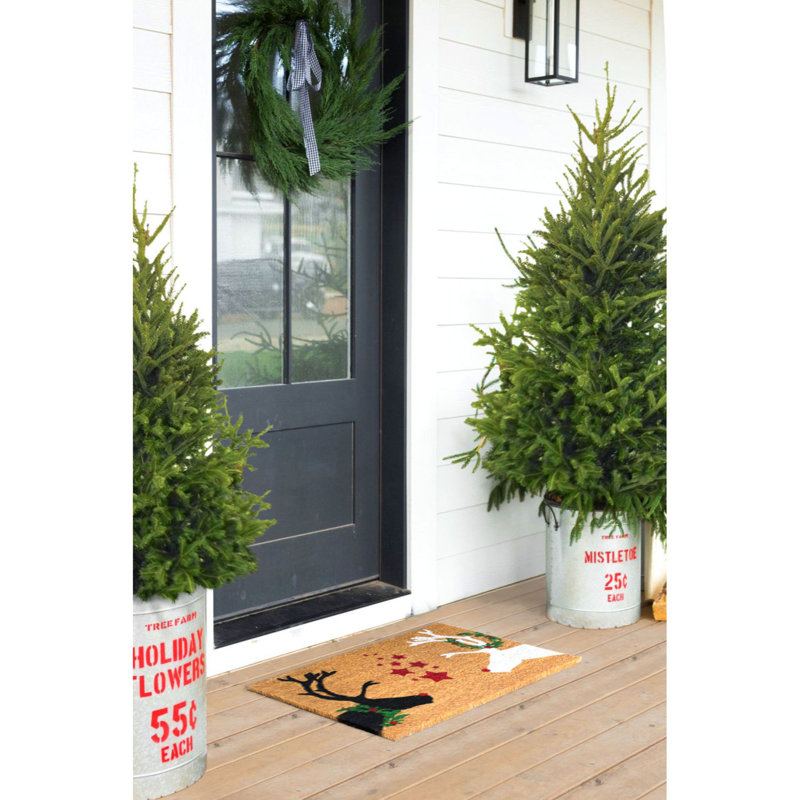 Tapis d'entrée antidérapant Hoghni Reindeers 30 po x 18 po
