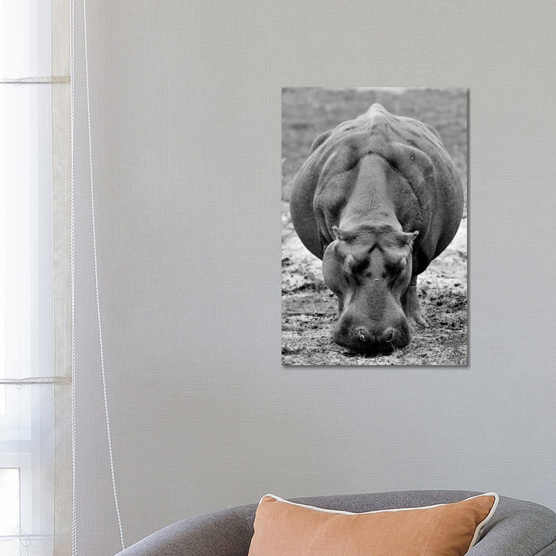 Grasing Hippo by Elmar Weiss - Wrapped Canvas Print, 66.04 cm H x 45.72 cm W