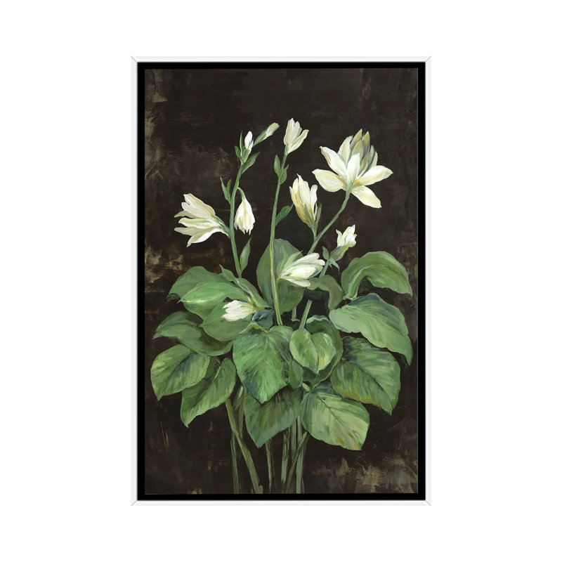 Blooming Hosta - Wall Art Print - Framed Canvas, 48" H x 32" W, Framed Print without Mat, White