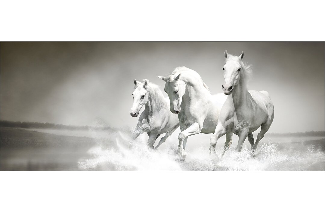 Glasbild White Horses, Kunstdruck