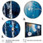 «Blue Birch Forest I», reproduction sur toile-86580310-86580314