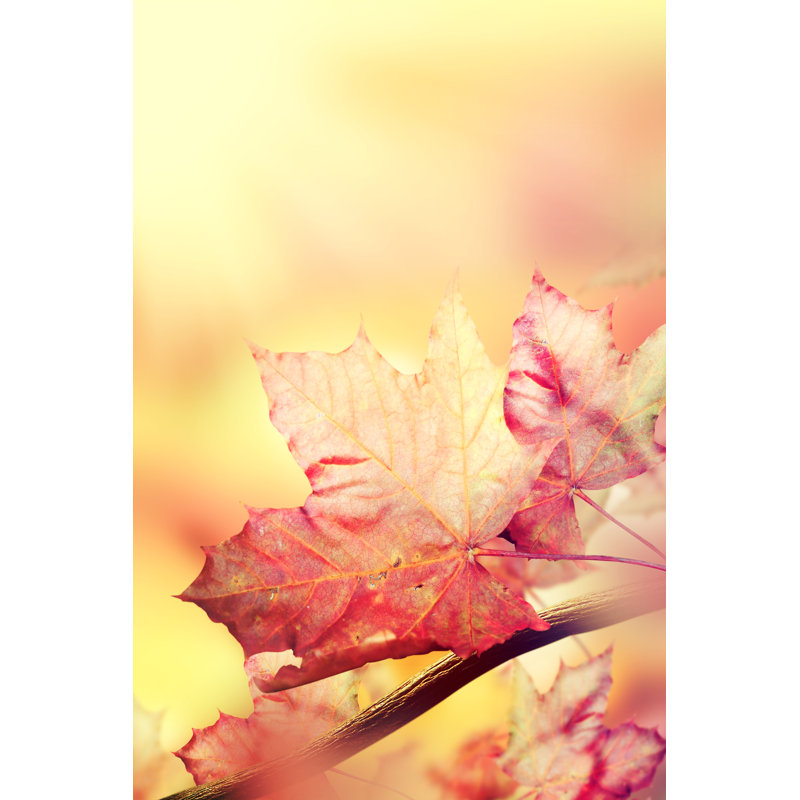 Branch With Autumn Leaves by Igor_Aleks - Wrapped Canvas Print, 46cm H x 30cm W