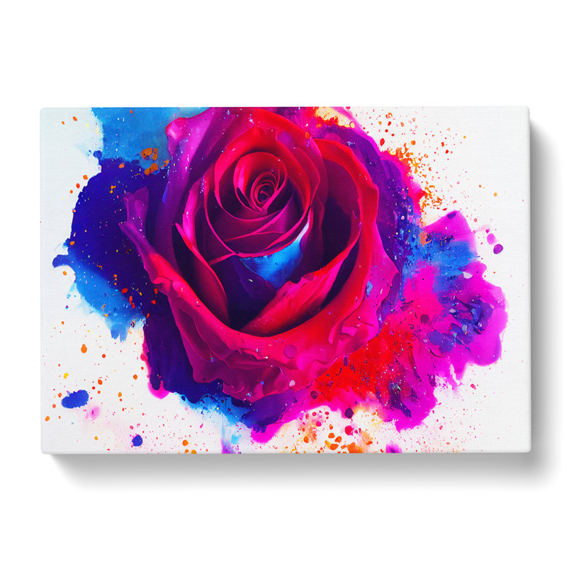 Rose Flower Splash Vol.1 - Wrapped Canvas, 50cm H x 76cm W x 3cm D