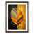Walnut Framed