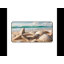 Polyester Desk Pad-1747149623