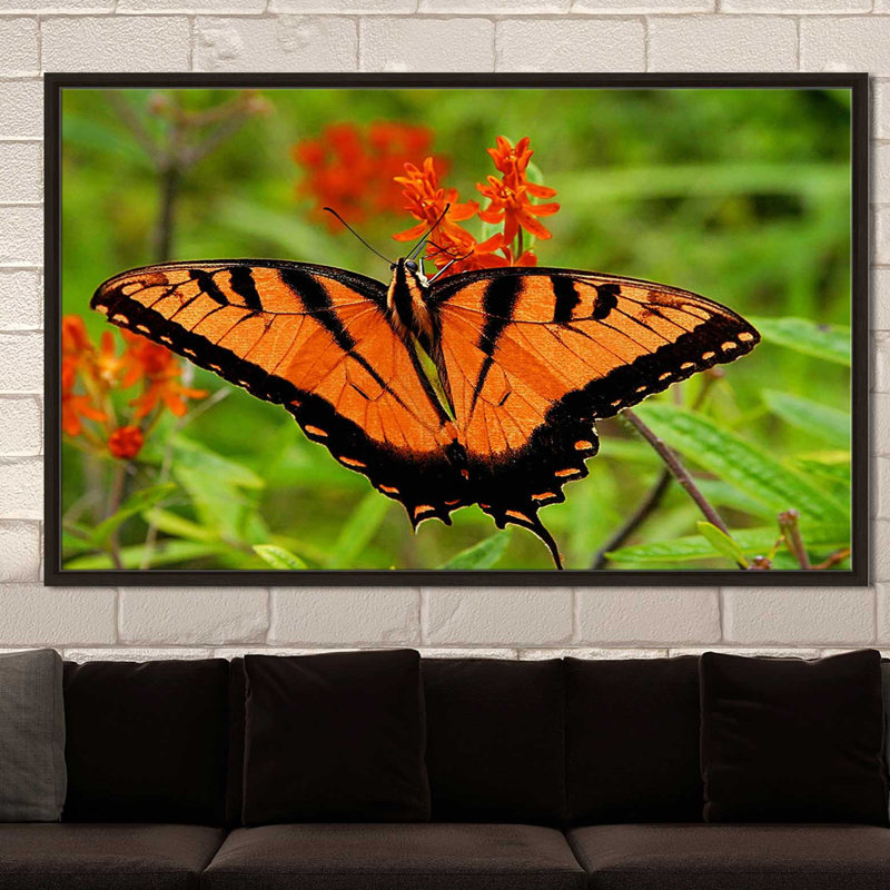 «Metallic Butterfly», reproduction de photo, H 39,5 po x l 63,5 po x P 2 po, Cadre flottant espresso