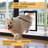 Metal Pet Door-48253536-48253537