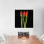 Tulipe trinité, reproduction de photo sur toile tendue-74400173-74400171-74400172