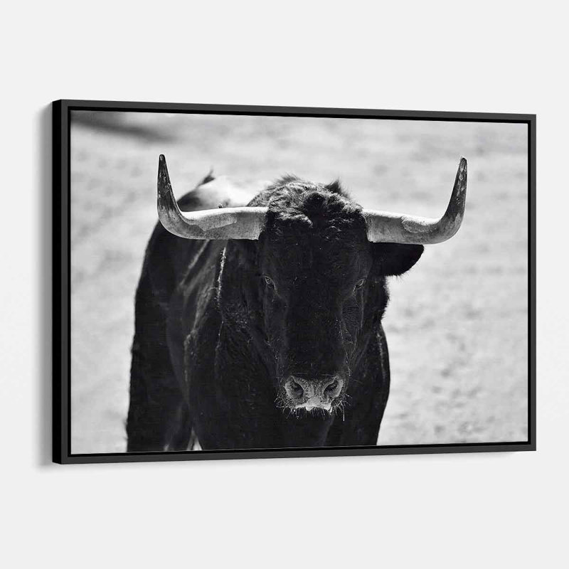 «Black Bull», art mural 9696 sur toile, H 12 po x l 16 po, Toile encadrée noire