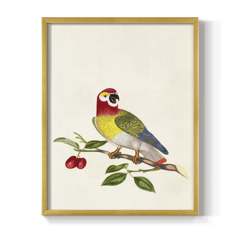 Bird in Habitat VI, reproduction encadrée - bois massif, H 14 po x l 11 po
