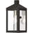 Lantern Head-813800083-813800080