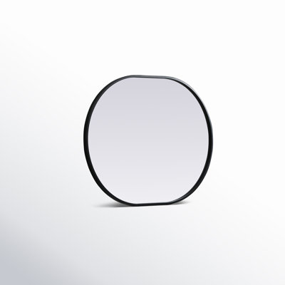 Sabine Metal Pill Wall Mirror