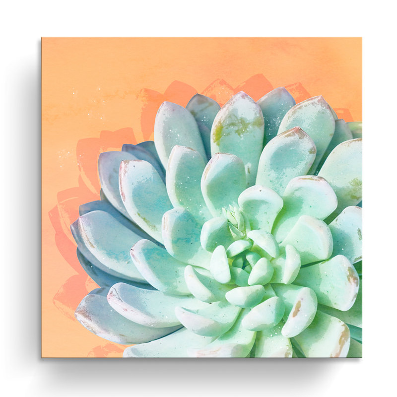 « réveil iv », impression sur toile succulent, H 10 po x l 10 po x P 1,5 po, Toile tendue