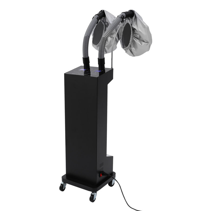 Machine à vapeur professionnelle 650W avec contrôle DEL, Noir