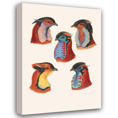 "Wattles of Cock Tragopans" by  Henrik Gronvold - Gallery Wrap Canvas Wall Art