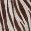 Zebra Console Table