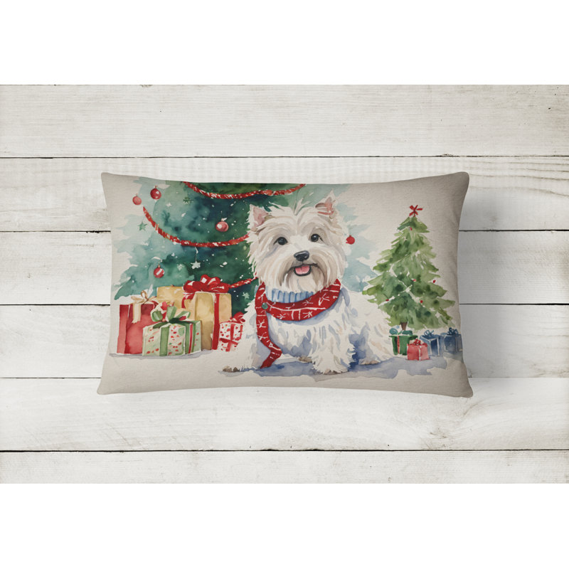 Other/No Pattern Outdoor Throw Pillow