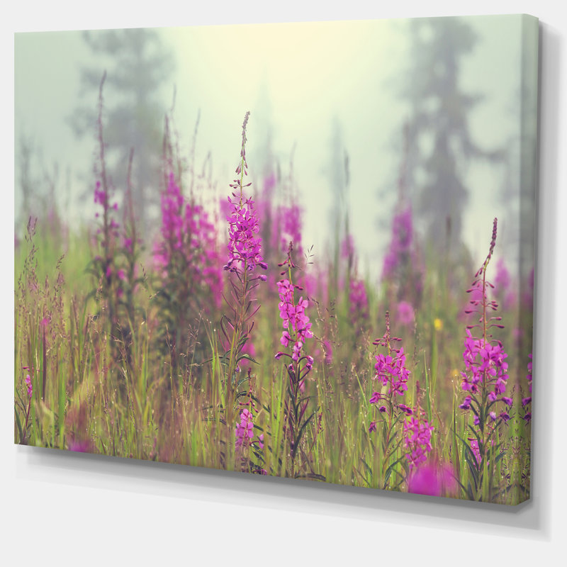Reproduction de photo sur toile tendue, "mauves de fleurs dans un champ à brouillard", H 8 po x l 12 po