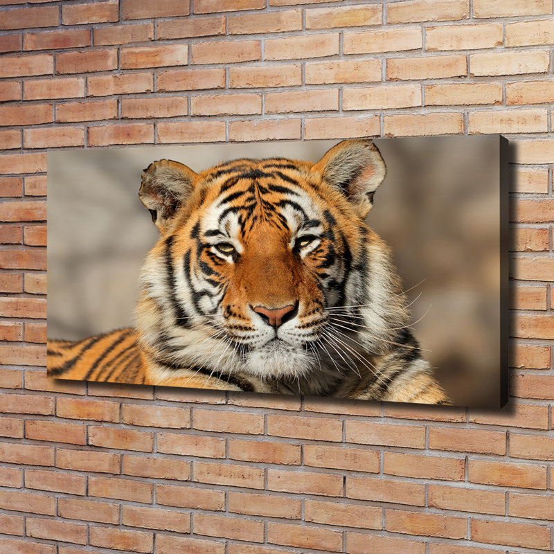 Bengal Tiger - Wrapped Canvas Print