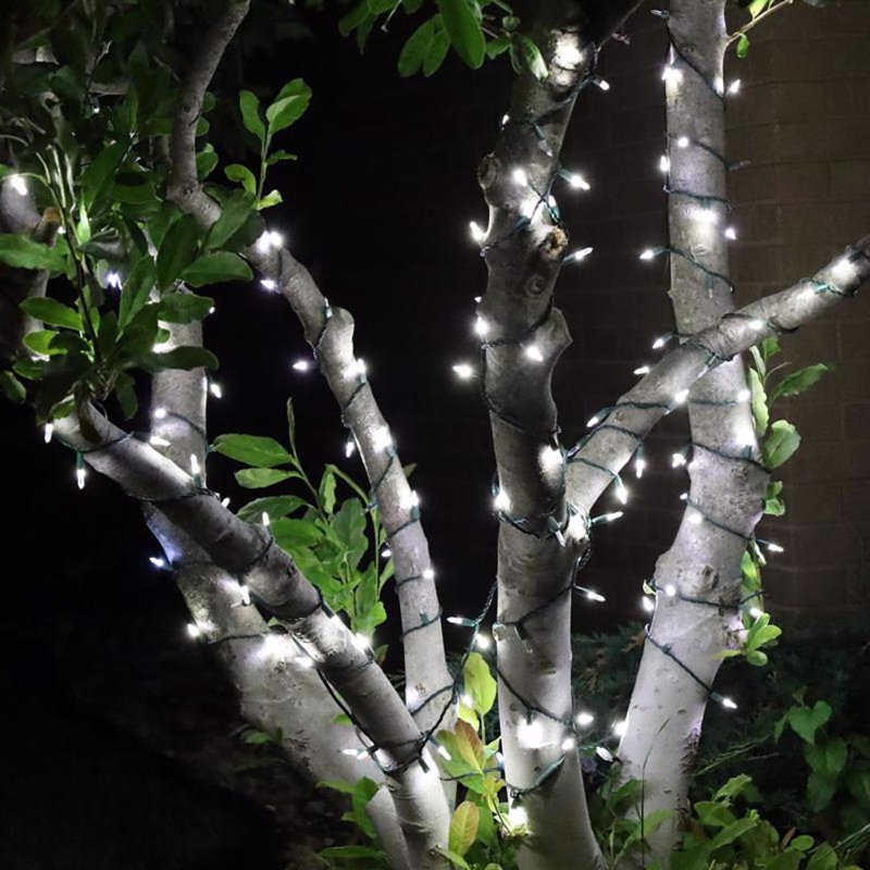 Guirlande de lumières de Noël 50 pi., Blanc