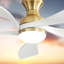 Ventilateur de plafond 52 pouces avec 3 lumières à DEL à intensité variable réversible, silencieux, moteur à courant continu et télécommande intelligente-648499231-648499226