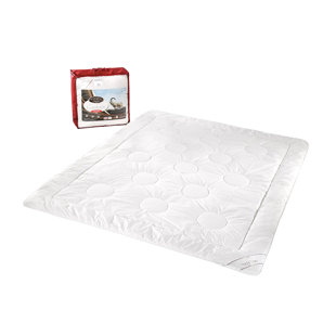 All Season Down Comforter