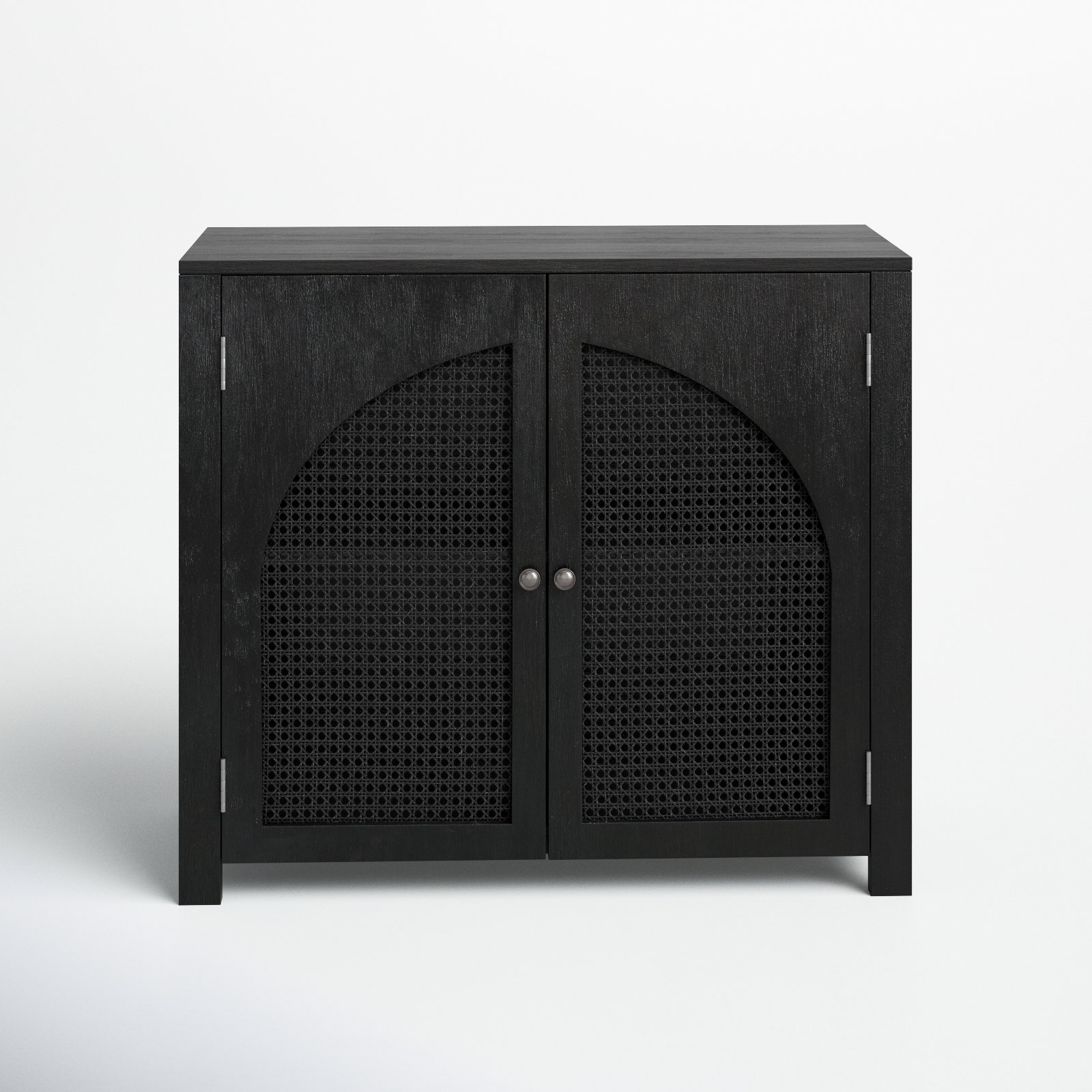 Tyche 2 -Door Storage Cabinet, Black