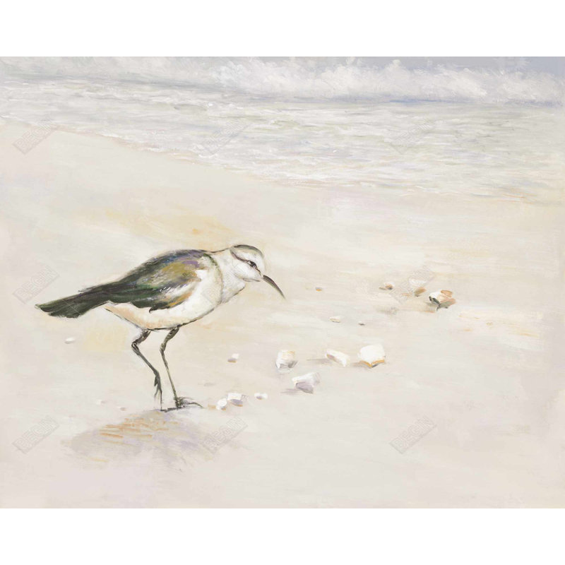 Imprimé Semipalmated Sandpiper Beach | Cadre encadré