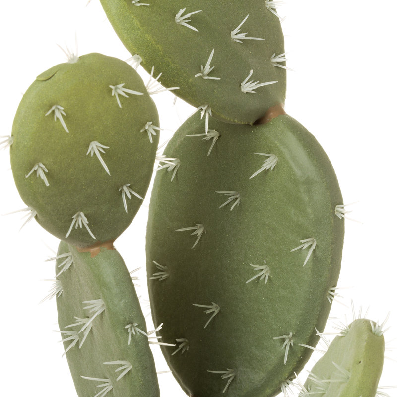 Plattsmouth 39cm Faux Cactus Plant in Porcelain Pot
