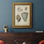 «Vintage Shell Study II», reproduction d'art sur toile encadrée-905612448