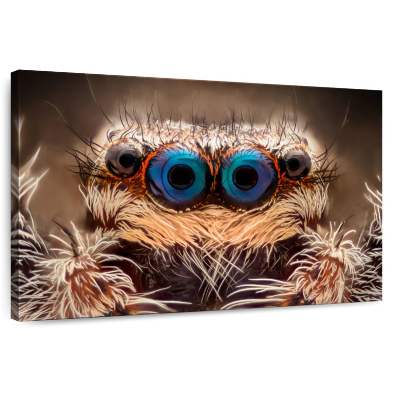 Blue Spider Eyes, 8" H x 12" W