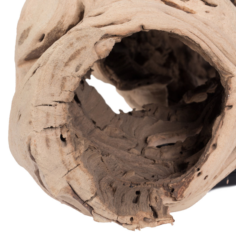 Vickerman 20-24" Split Grapewood Urns Sand Blasted, Dried