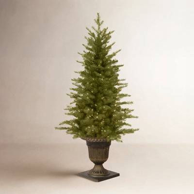 White 9.6' Pre-Lit Spruce Christmas Tree