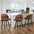 Drish Swivel 25.98" Counter Stool