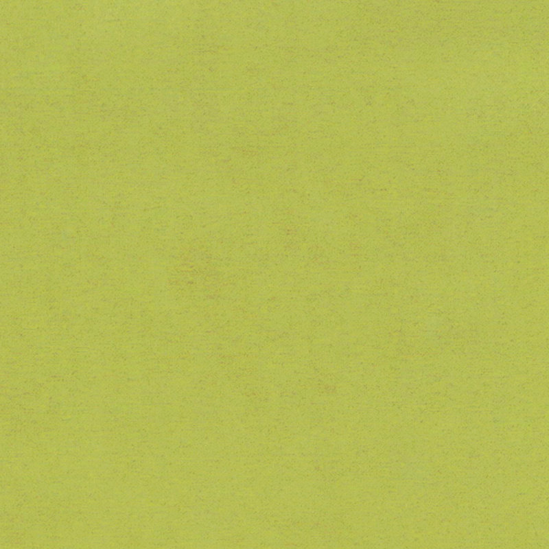  Housse de coussin carré et insert, Lime mojito