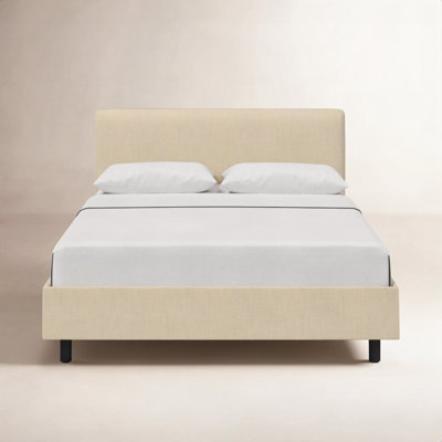 Eisley Cotton Upholstered Bed