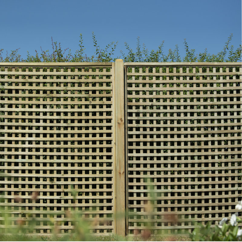 180cm H Wood Lattice Panel Trellis, 180cm H x 180cm W